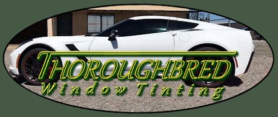 Thoroughbred Window Tinting - Business Commercial and Government Tinting Applications and Solutions Sherman TX